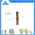Messing Farbe Male Female Fitting (YD-3012)